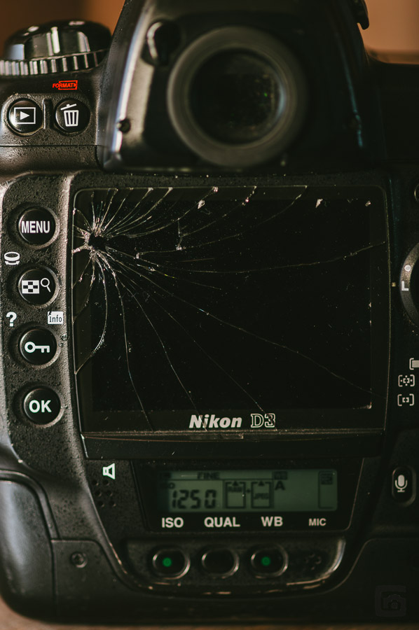 kopf_20130317_6837-2