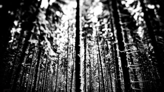 Frischer Schnee im Wald