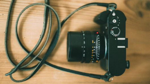 Leica Multifunktionshandgriff-M