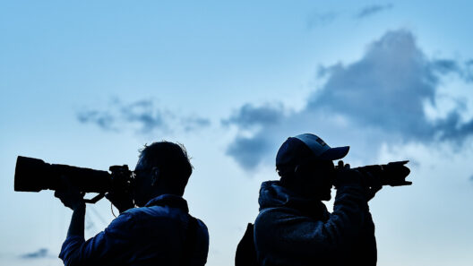 Egal, wo man hinschaut: tolle Bilder