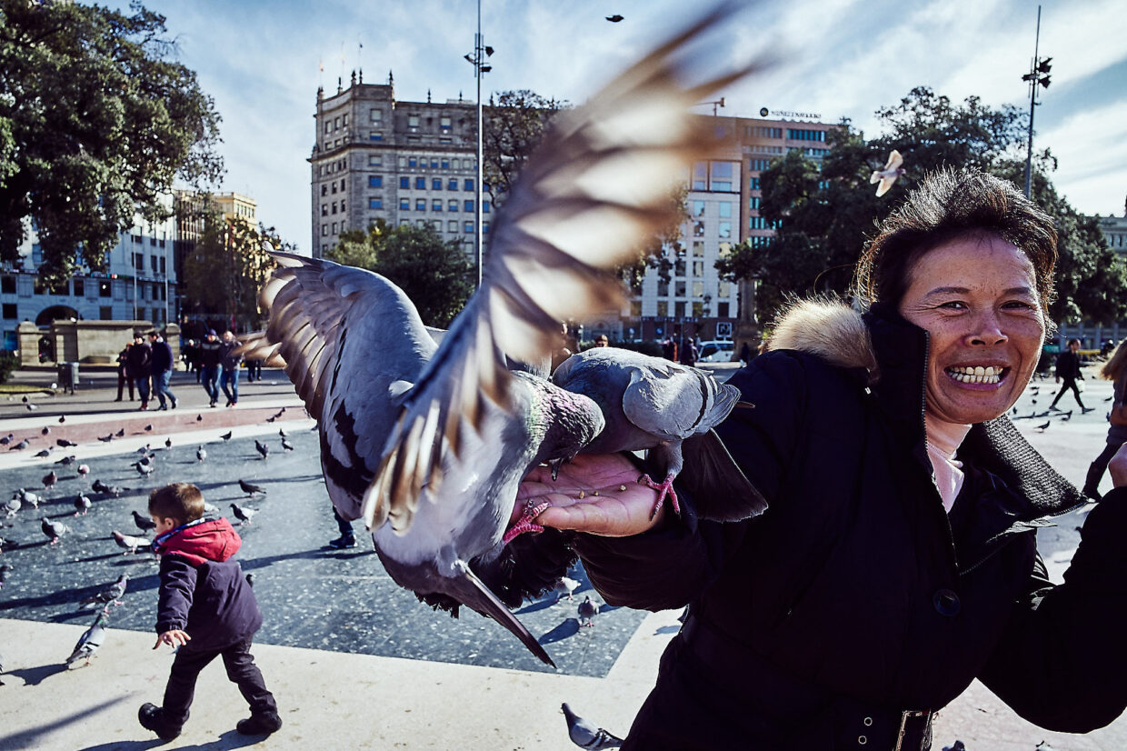 Taubenfüttern in Barcelona