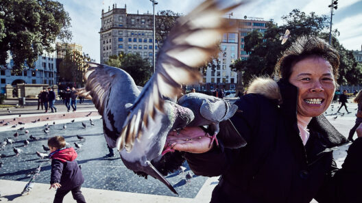 Taubenfüttern in Barcelona