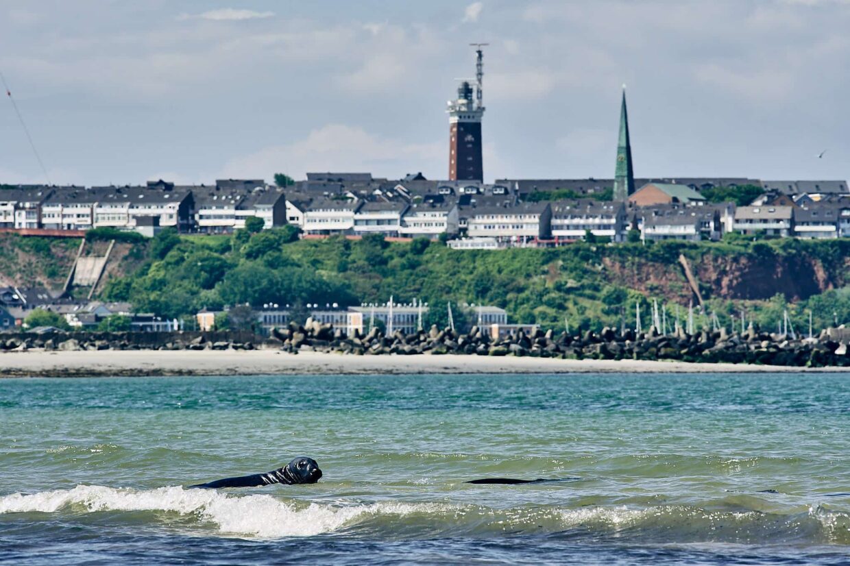 Helgoland von der Düneninsel aus gesehen