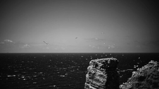 Leica Monochrom auf Helgoland