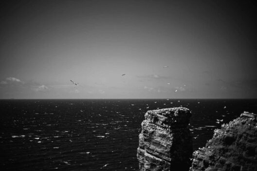Leica Monochrom auf Helgoland