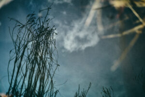 Bildbeispiel mit Leica M9 und dem Summicron-C 40mm als preiswerter einstieg in die Leica Welt