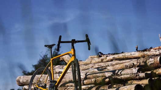 Orbea Terra in der Südheide