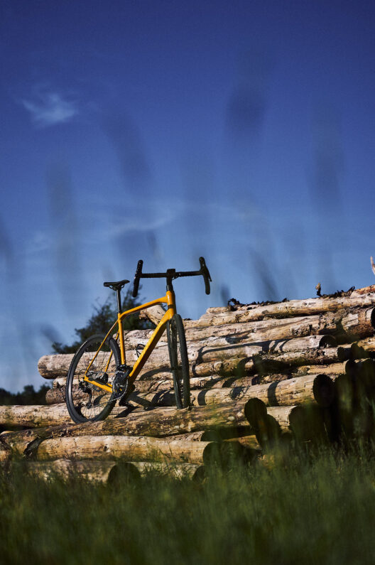 Orbea Terra in der Südheide