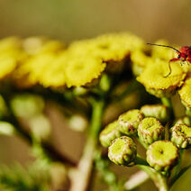 Blick zurück auf 2025