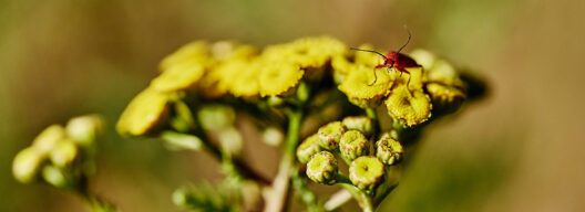 Blick zurück auf 2025