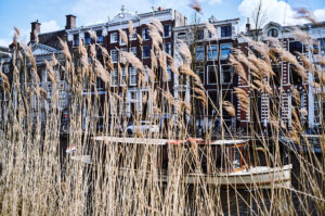 Ein Boot fährt durch die Kanäle Amsterdams, umgeben von hohen Schilfrohren und historischen Gebäuden | © Stefan Groenveld.