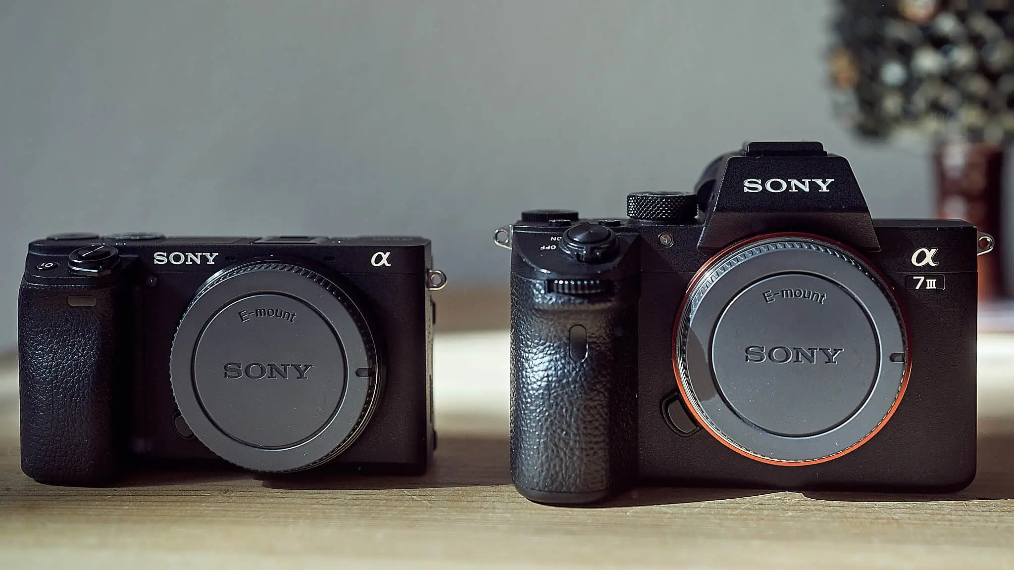 Sony A6400 - my review of a little big camera! - Stefan Groenveld -  Fotograf aus Hamburg
